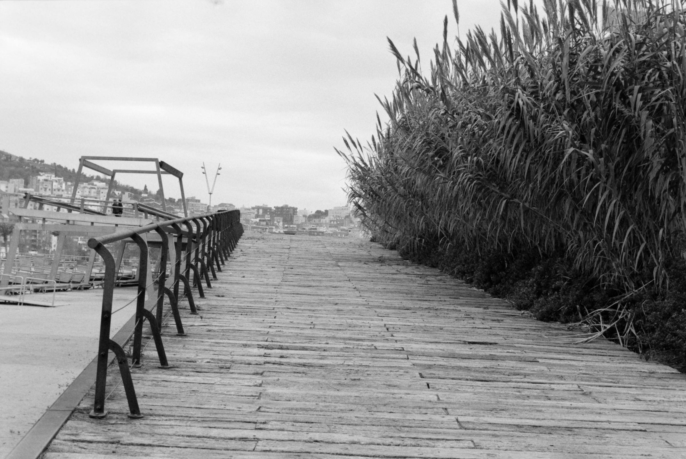 AHP F1995 10 002 sc240815 img01 NLP